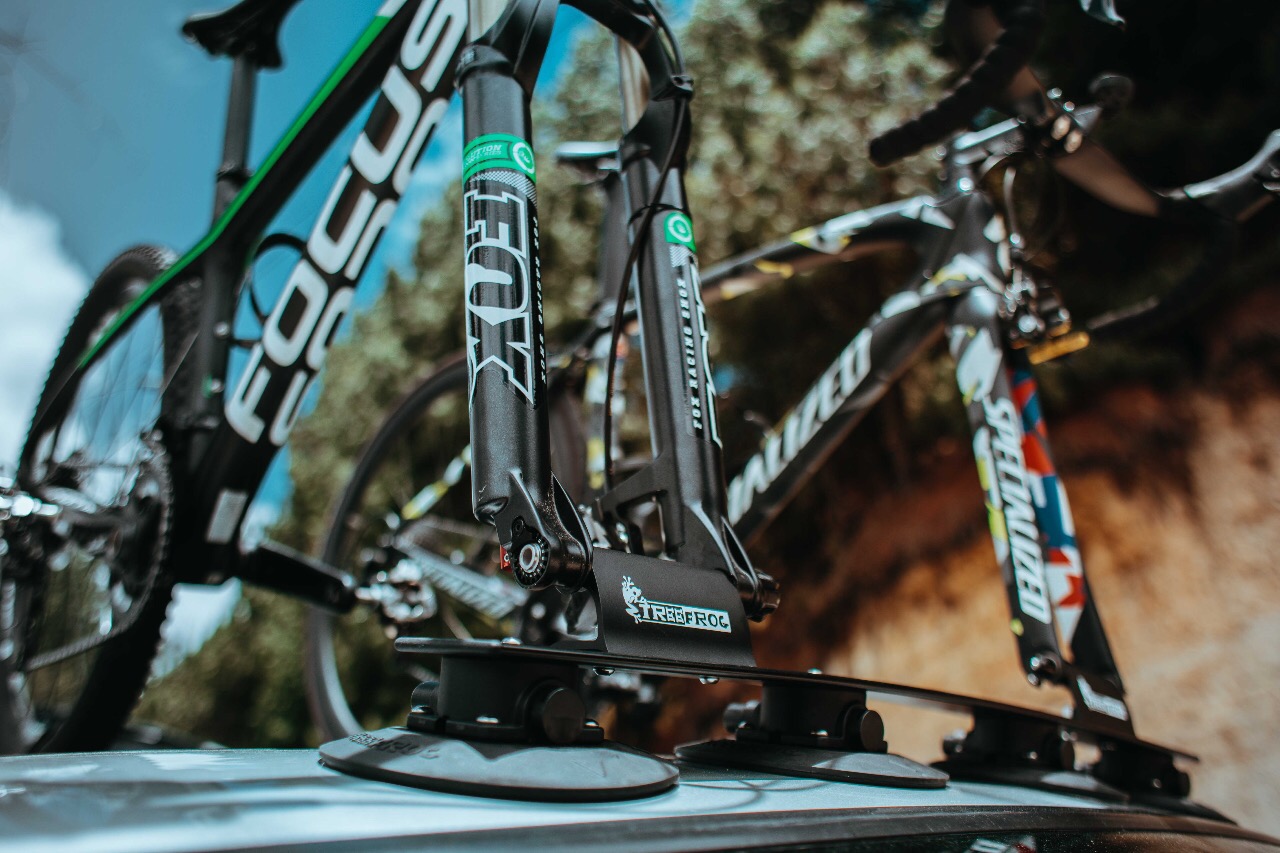 Model Elite 2 - Image 3